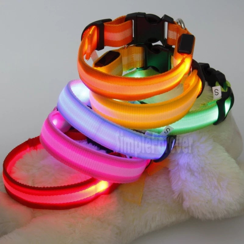 Coleira de segurança LED para cães – brilho noturno