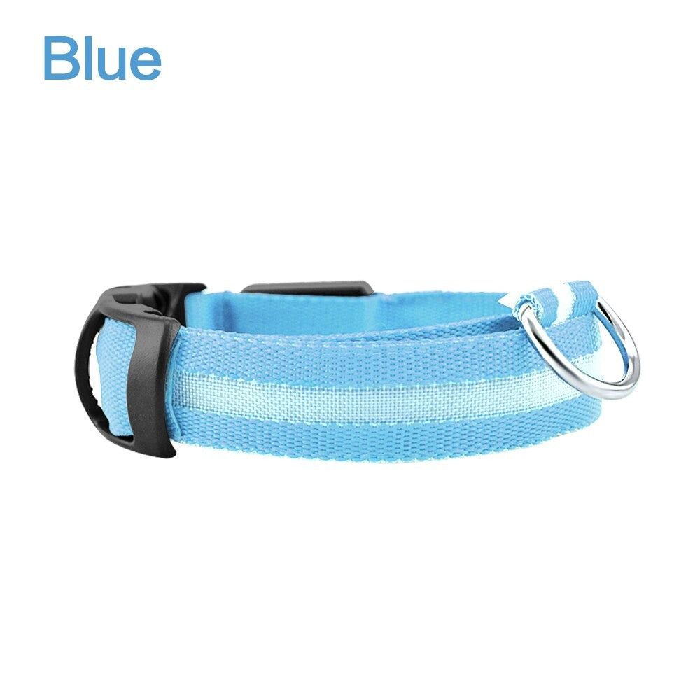 Coleira de segurança LED para cães – brilho noturno