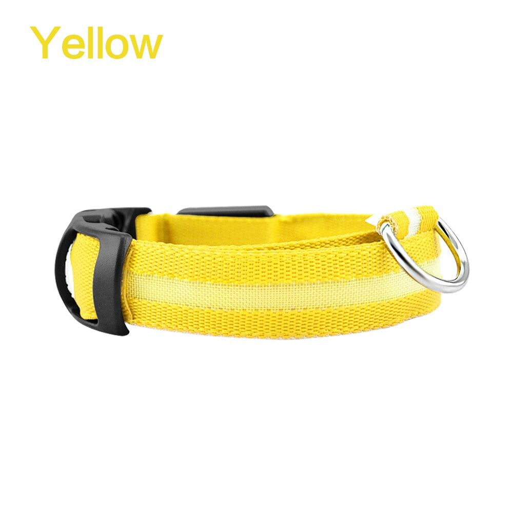 Coleira de segurança LED para cães – brilho noturno