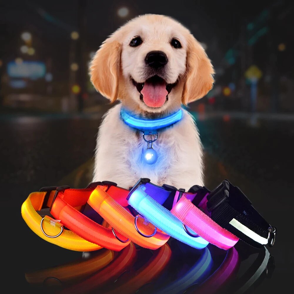 Coleira de segurança LED para cães – brilho noturno