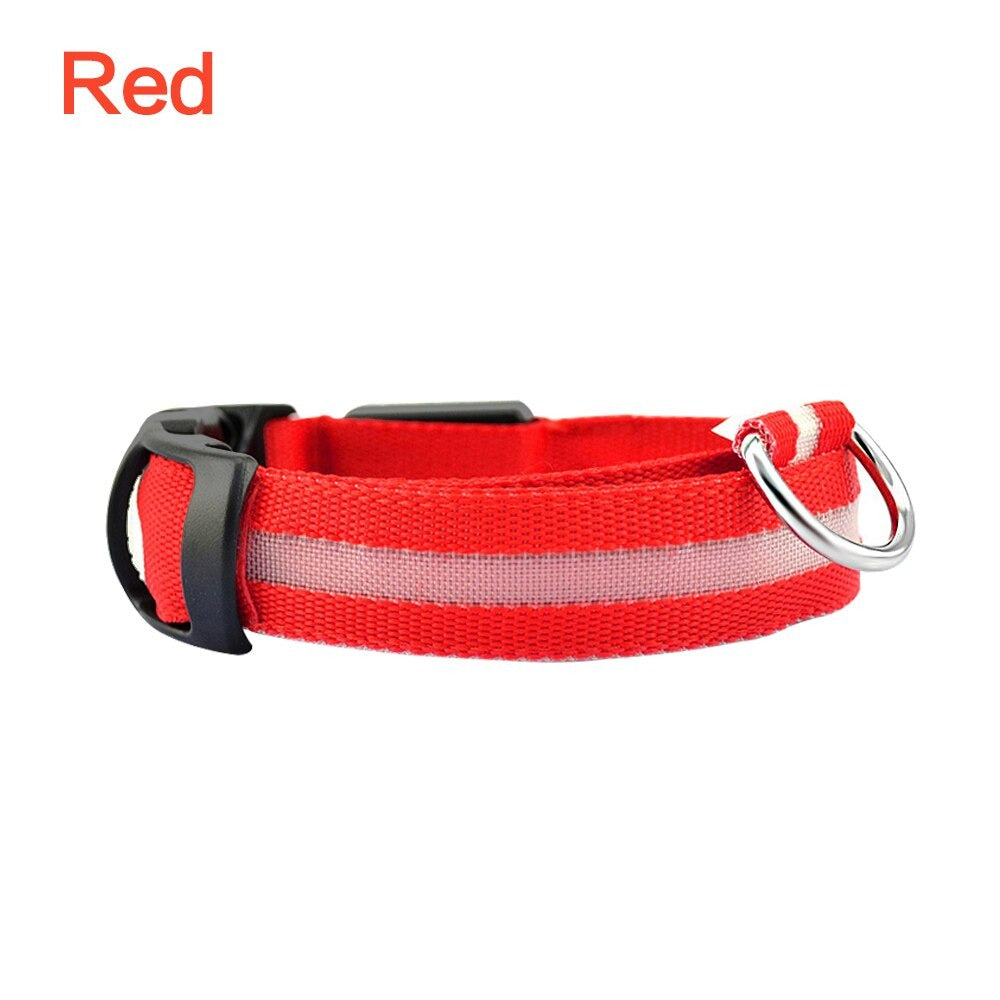 Coleira de segurança LED para cães – brilho noturno