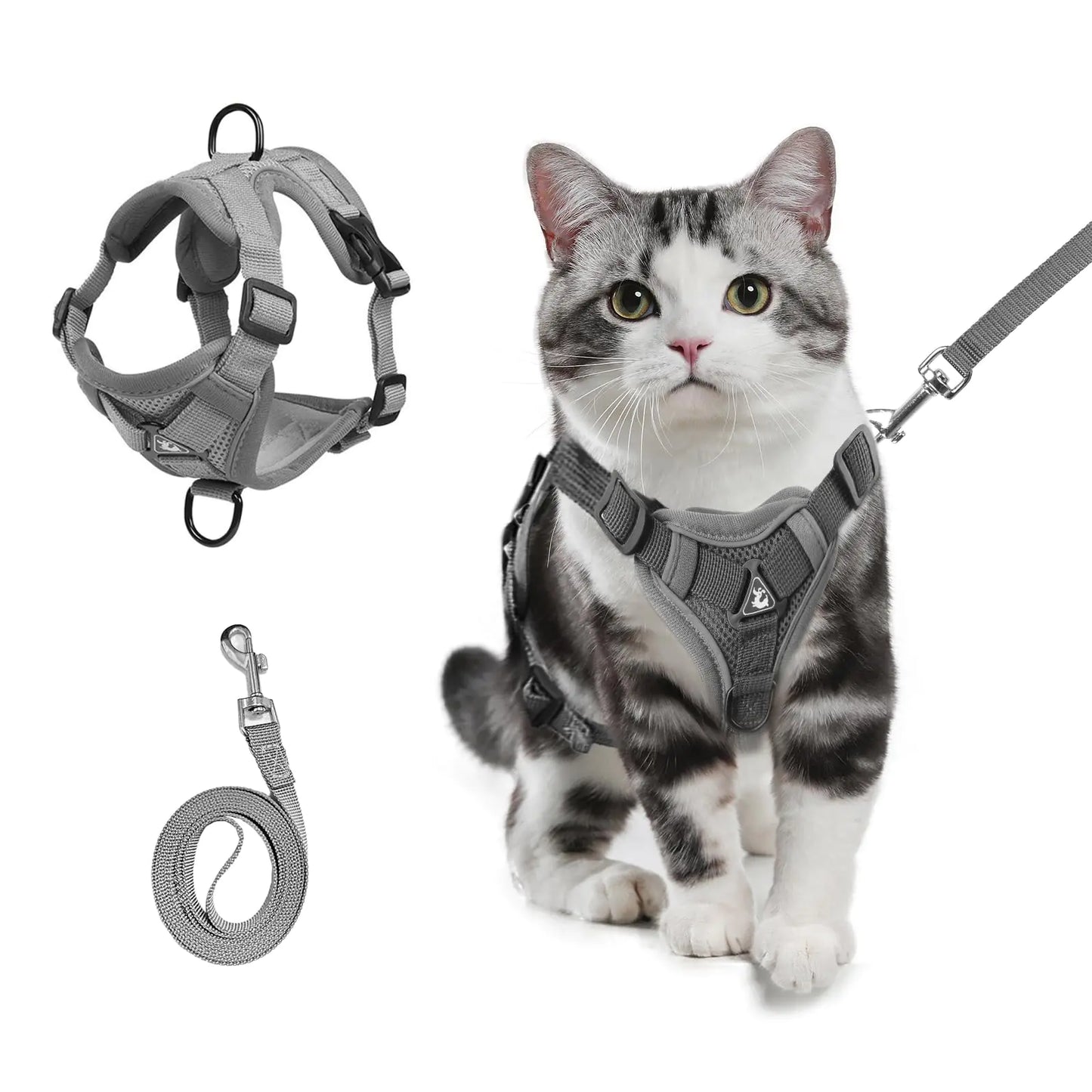 PawGlow Reflective Cat Harness Set