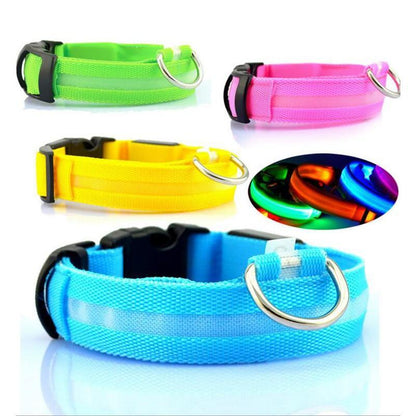 Coleira de segurança LED para cães – brilho noturno