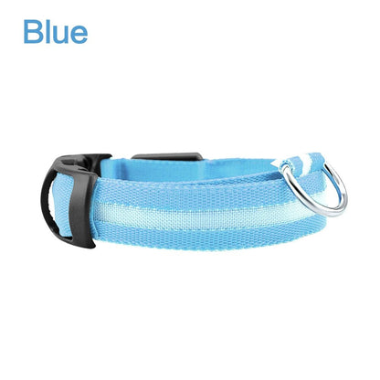 Coleira de segurança LED para cães – brilho noturno