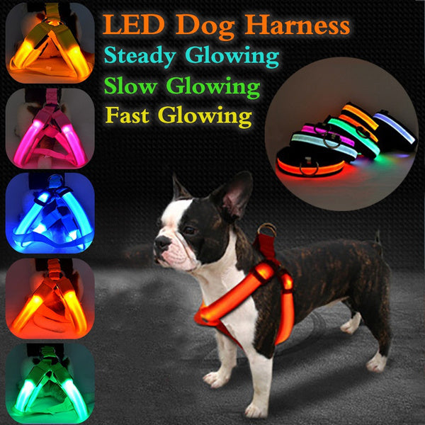 Arnês de segurança para animais de estimação em nylon com LED