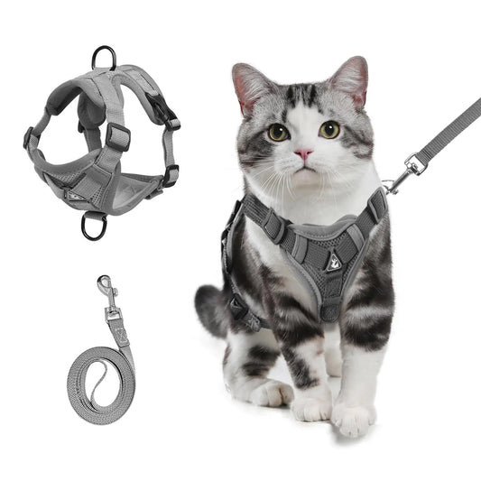 Conjunto de peitorais refletivos para gatos PawGlow