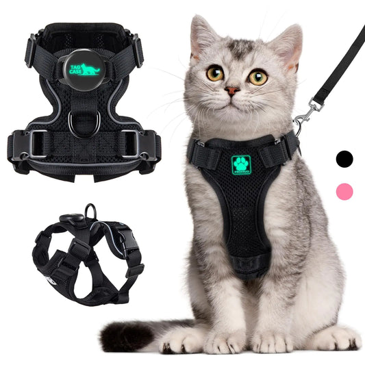 Conjunto de peitoral e guia para gatos AirTag