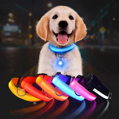 Coleira de segurança LED para cães – brilho noturno